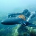 AquaJet Drive H2. Подводный скутер m_8